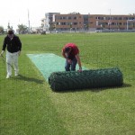 Playing Cricket in the Czech Republic